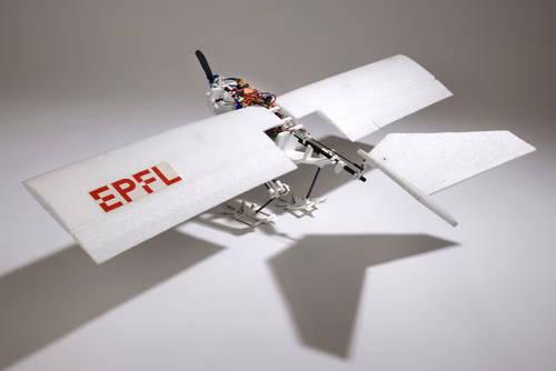 EPFL researchers have built a drone that can walk, hop, and jump into flight with the aid of birdlike legs, greatly expanding the range of potential environments accessible to unmanned aerial vehicles.