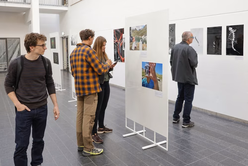 An initiative to promote interdisciplinary expertise and cutting-edge research in Imaging at EPFL