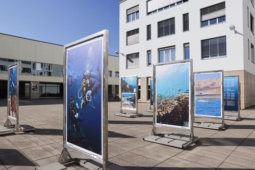 Science et diplomatie se conjuguent en faveur de "récifs de l'espoir" Cette exposition en plein air présente les missions scientifiques et les ateliers éducatifs menés par le Transnational Red Sea Center, des scientifiques de l’ENAC, ainsi que soudanais et djiboutiens entre 2022 et 2023 à Djibouti – dans le golfe de Tadjourah et autour de l’archipel des Sept Frères. 