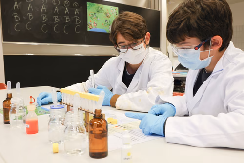 Les ateliers de Scientastic