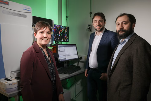 Des scientifiques de l’EPFL montrent que la production de molécules de graisse par une cellule peut être un facteur clé pour déterminer ce que deviendra cette cellule. Laura Capolupo, Gioele La Manno, et Giovanni D'Angelo.