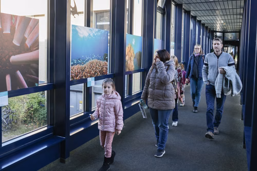 La découverte des sciences et des technologies au cœur du campus, pour les adultes et les enfants.