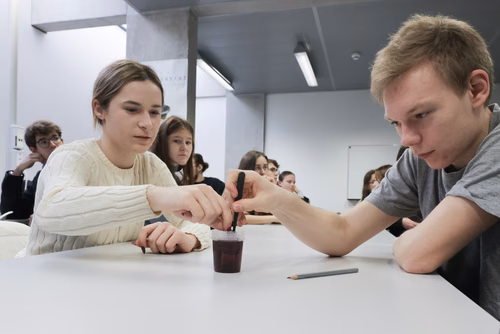 Stages sur campus