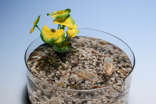 Un robot comestible fabriqué par des scientifiques de l’EPFL tire parti de l’association combustible biodégradable et tension superficielle pour se déplacer à la surface de l’eau. Il représente ainsi une alternative sûre – et nutritive – aux capteurs environnementaux élaborés à partir de polymères artificiels et d’électronique