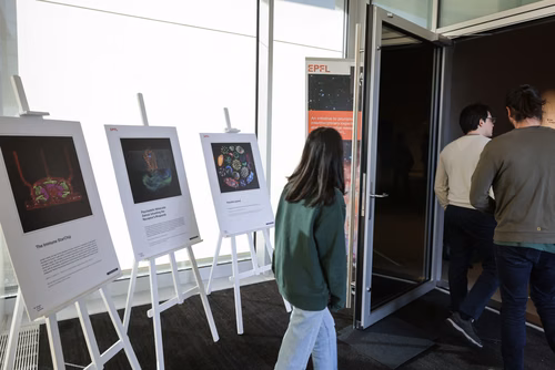 The Visual Wonders of Science est une exposition en deux parties, proposée par le Centre d’imagerie de l’EPFL en collaboration avec Figure 1.A., qui regroupe des images et vidéos prises dans le cadre de recherches sur le campus et/ou par des chercheurs de l’EPFL. Certaines d’entre elles sont présentées au public pour la première fois.