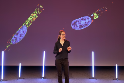6ème édition du concours “Ma thèse en 180 secondes” à l’EPFL