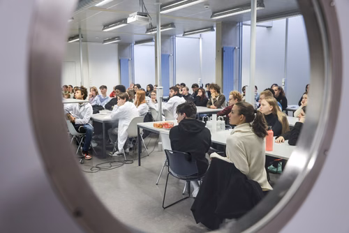 Stages sur campus