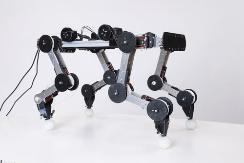 For his Master’s project at EPFL, Mickaël Achkar compiled data on the movements of dogs to develop a robotic version of the animal that, once set in motion, can run without assistance or motors.