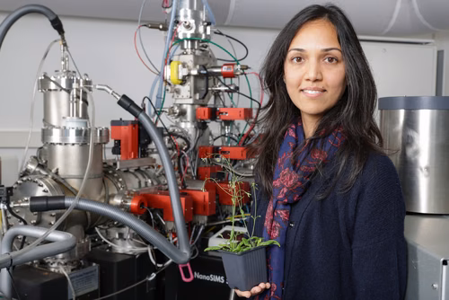 Une équipe de recherche conjointe de l’EPFL et de l’Université de Lausanne présente l’observation inédite d’un mécanisme de protection des plantes face au stress salin. L’étude ouvre de nouvelles perspectives de recherche pour renforcer la sécurité alimentaire.