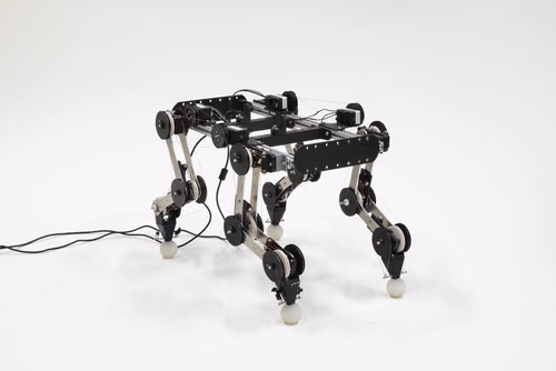 For his Master’s project at EPFL, Mickaël Achkar compiled data on the movements of dogs to develop a robotic version of the animal that, once set in motion, can run without assistance or motors.