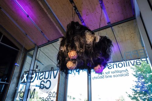 Guided Tour of the exhibition Musica ex Machina
