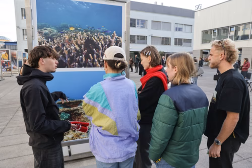 Red Sea corals - Bridging science & diplomacy in favor of the « Reefs of Hope » Opening