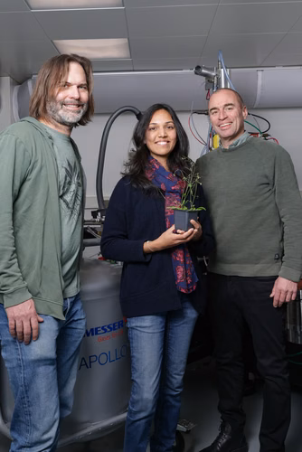 Une équipe de recherche conjointe de l’EPFL et de l’Université de Lausanne présente l’observation inédite d’un mécanisme de protection des plantes face au stress salin. L’étude ouvre de nouvelles perspectives de recherche pour renforcer la sécurité alimentaire.