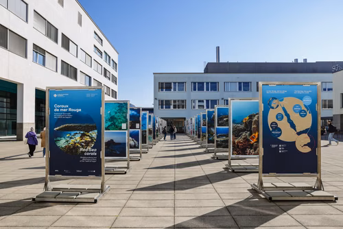 Science et diplomatie se conjuguent en faveur de "récifs de l'espoir" Cette exposition en plein air présente les missions scientifiques et les ateliers éducatifs menés par le Transnational Red Sea Center, des scientifiques de l’ENAC, ainsi que soudanais et djiboutiens entre 2022 et 2023 à Djibouti – dans le golfe de Tadjourah et autour de l’archipel des Sept Frères. 