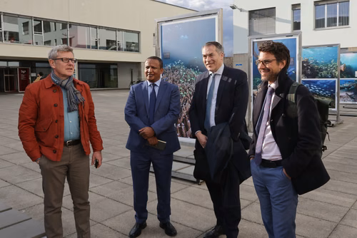 Red Sea corals - Bridging science & diplomacy in favor of the « Reefs of Hope » Opening