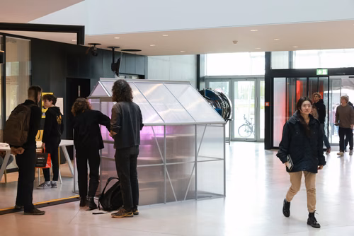 Dans le cadre du festival Les Culturelles du CDH-Culture et suite au workshop RUINED qui a permis à des étudiant·es de fabriquer une sculpture en mycelium, la performance MOLDING propose un ensemble de gestes performatifs dans le prolongement de l’œuvre vivante.