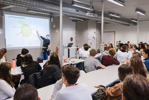 Stages sur campus