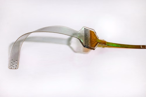 EPFL researchers have developed a flexible auditory brainstem implant (ABI) that closely conforms to the curved surface of the brainstem. The technology has been successfully demonstrated high-resolution “prosthetic hearing” in macaques.