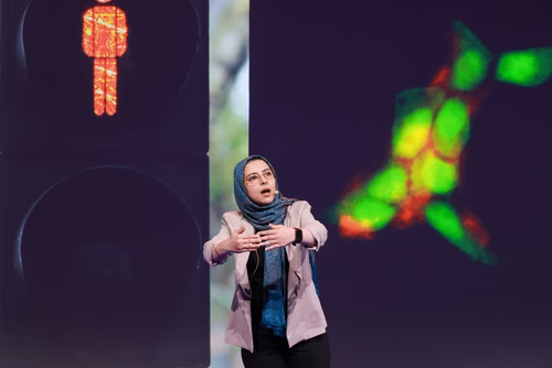 The 14 PhD Students finalists of the competition My Thesis in 180 seconds (MT180)  present their research in simple, straightforward terms in 3 minutes exactly, in English or in French, using humour, metaphores and examples. Sara Behjati, «Designing DNA wrapped single-walled carbon nanotube optical biosensors for cancer biomarker detection», Nanobiotechnology Lab (Prof. Ardemis Boghossian), English