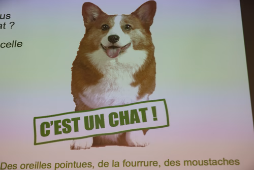 Conférences au Swiss Tech Center dimanche
