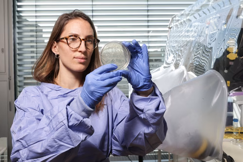 The microorganisms in our intestines play an important role in many bodily processes, from digestion to emotions, and are a key factor in our overall health. A number of modern diseases could be traced to disturbances in the gut microbiome. Camille Goemans Lab of Drug-microbiota Interactions EPFL