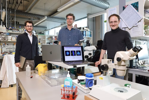 A team headed by Prof. Pierre Gönczy at EPFL’s School of Life Sciences (SV) took advantage of a system migration to delete old and redundant data from their database – slashing their data storage needs by a third. Their move will not only cut carbon emissions going forward, but will also make life easier for the scientists themselves.