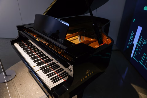 Guided Tour of the exhibition Musica ex Machina