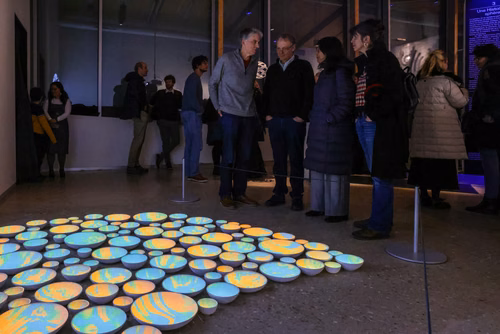 The exhibition Shapes: Patterns in Art and Science explores the richness of the natural and artificial patterns that surround us. Bringing together art, mathematics, materials science and biology, it highlights the shared fascination of scientists and artists with geometric, dynamic and symmetrical structures. Opening