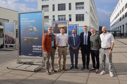 Red Sea corals - Bridging science & diplomacy in favor of the « Reefs of Hope » Opening