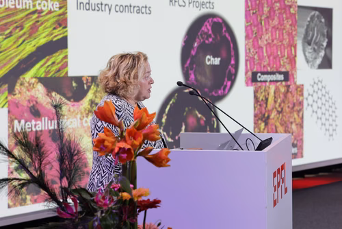 La Fondation WISH de l’EPFL remet cette année son prix Erna Hamburger à la chimiste Rosa Menéndez López pour ses contributions dans les domaines de la science, de l’ingénierie et de la société.