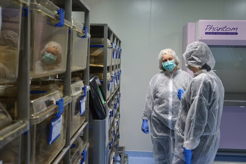L’EPFL a signé un contrat de « rehoming » avec la Protection suisse des animaux (PSA) pour donner certains de ses rats de laboratoire, afin qu’ils puissent être placés chez des particuliers. Cette initiative, une première en Suisse romande, permettra à des dizaines de rongeurs de connaitre une vie hors des cages de l’animalerie.