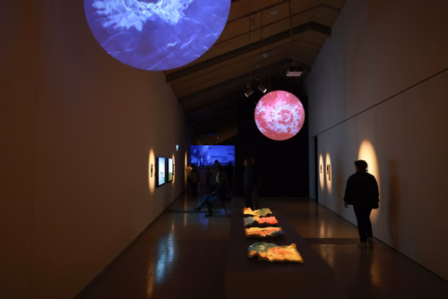 La lumière, voici la toute nouvelle thématique du festival Scientastic, le festival des sciences de l'EPFL