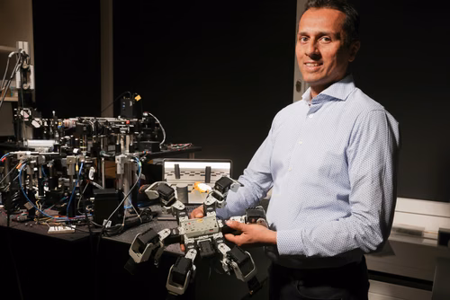 Au Laboratoire de neuro-ingénierie de l’EPFL, l’équipe de Pavan Ramdya travaille à recréer le cerveau de la drosophila melanogaster. Les perspectives en robotique sont riches.