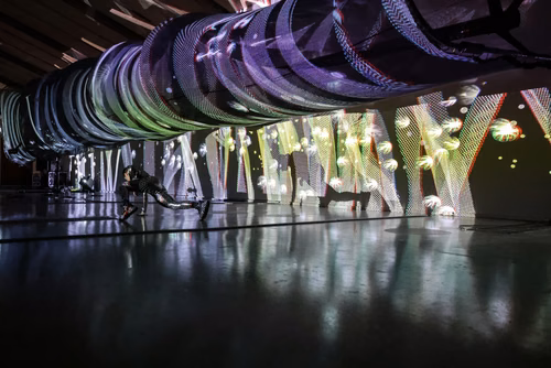 Une captivante immersion entre art & science pour tous les publics.