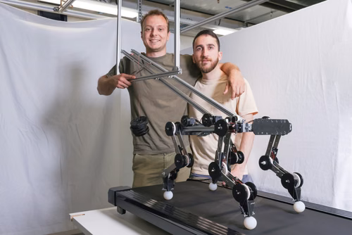 For his Master’s project at EPFL, Mickaël Achkar compiled data on the movements of dogs to develop a robotic version of the animal that, once set in motion, can run without assistance or motors.