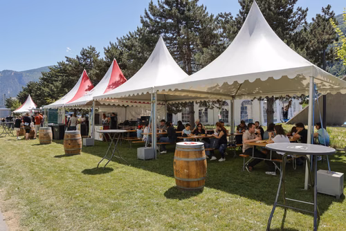 le Festival des sciences de l'EPFL, à Sion
