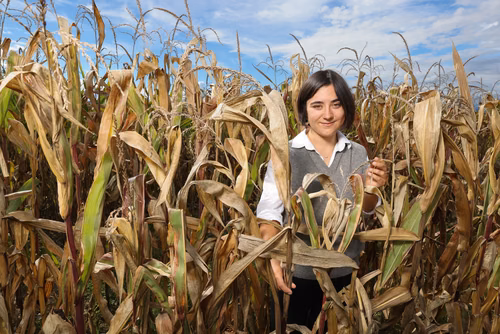 C’est la question que Juliette Salles s’est posée pour son projet de Master en sciences et ingénierie de l’environnement à l’EPFL. Une aubaine pour celle qui aime autant manipuler les données qu’explorer les enjeux porteurs de sens.