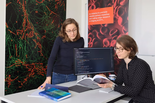Les programmes d’apprentissage profond sont de plus en plus utilisés pour l’analyse d’images en sciences de la vie. L’absence de standardisation et l’utilisation de ces algorithmes par des non-experts en informatique ouvrent pourtant la porte à de nombreux biais. Des scientifiques de l'EPFL et de l’Institut européen de bio-informatique (EMBL-EBI, G-B) proposent des conseils pratiques dans un article paru récemment dans IEEE.
