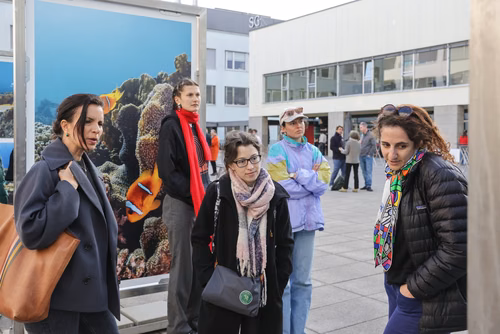 Red Sea corals - Bridging science & diplomacy in favor of the « Reefs of Hope » Opening