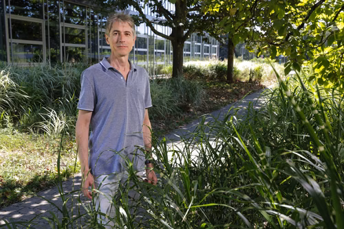 Damir Filipović aurait pu faire carrière dans les mathématiques pures. C’est vers le monde agité de la finance quantitative que le cœur du meilleur enseignant 2024 de la section d’ingénierie financière de l’EPFL a fini par pencher.