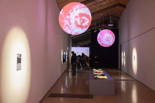 La lumière, voici la toute nouvelle thématique du festival Scientastic, le festival des sciences de l'EPFL Organisateur Service de promotion des sciences sps. 